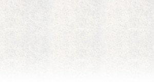 top_bg1